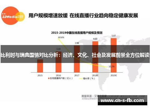 比利时与瑞典国情对比分析：经济、文化、社会及发展前景全方位解读