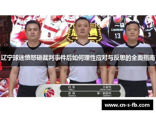 辽宁球迷愤怒砸裁判事件后如何理性应对与反思的全面指南