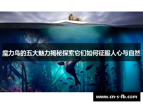 魔力鸟的五大魅力揭秘探索它们如何征服人心与自然