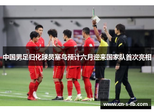 中国男足归化球员塞鸟预计六月迎来国家队首次亮相