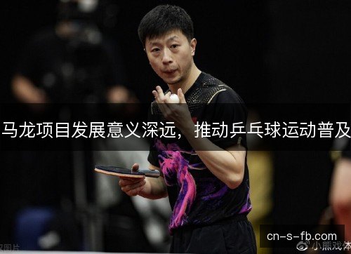 马龙项目发展意义深远，推动乒乓球运动普及